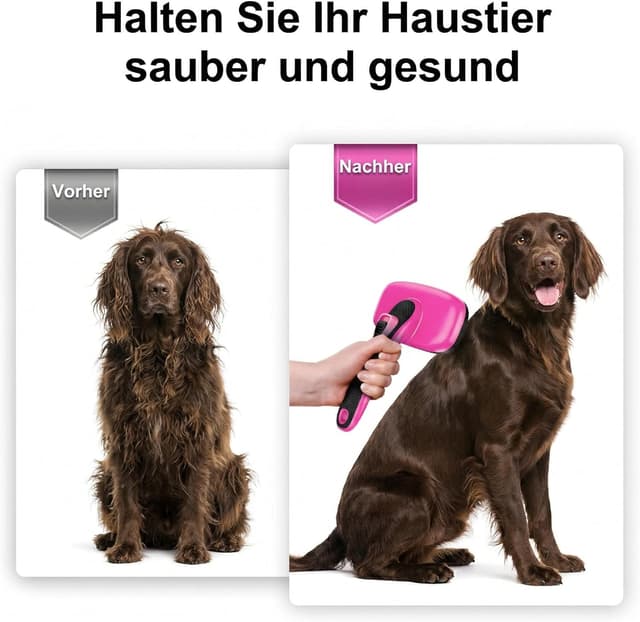 Thumbnail 3 de WOPQAEM Self Cleaning Slicker Dog Brush