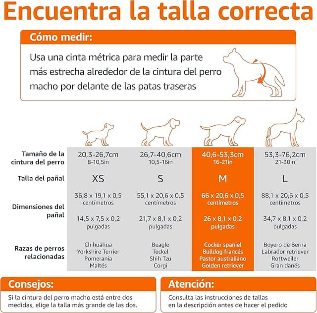 Detalle 2 de Amazon Basics Pañales para perro M, 30 unidades