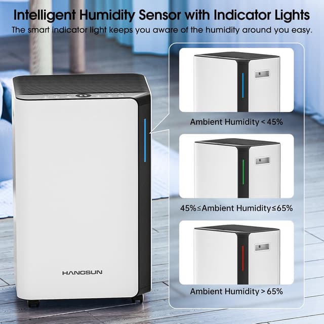 Detalle de Hangsun 20L/day Dehumidifier with Timer 🌫