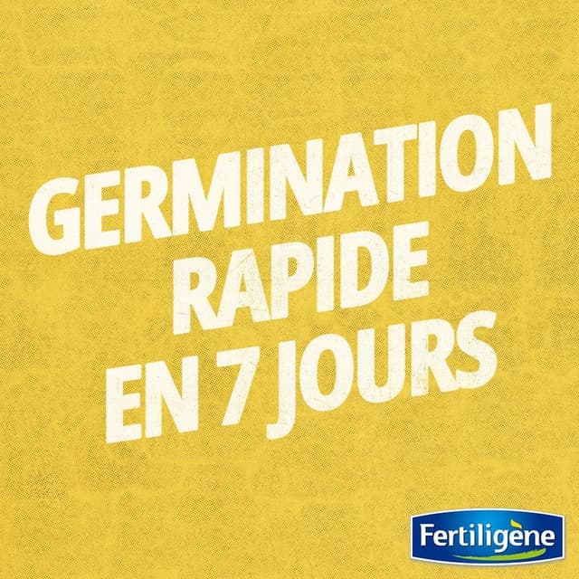 Thumbnail 5 de Fertiligène Rust35 Semences Gazons Rustiques 875 g
