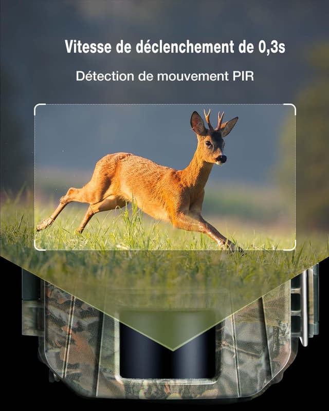 Detalle 2 de WOLFANG WT01 Cámara fototrampeo 48MP 4K nocturna