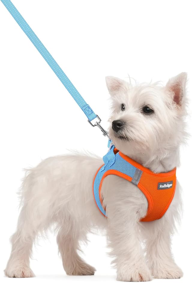 Detalle de rabbitgoo Step-in Soft Mesh Dog Harness & Leash Set (Blue & Orange) – Small Size S