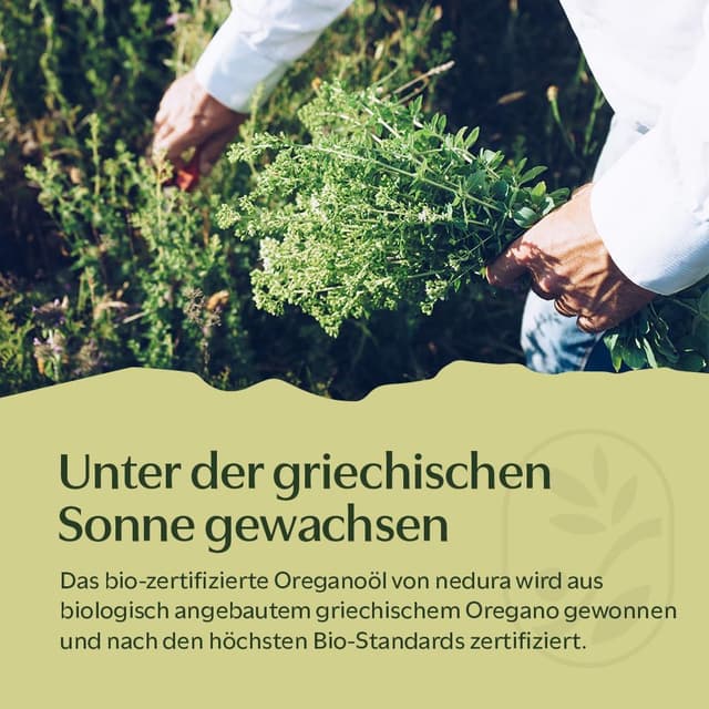 Thumbnail 6 de nedura® BIO Oregano Öl (100% Naturreines Oreganoöl) +82% Carvacrol, Lebensmittelqualität, 30 ml