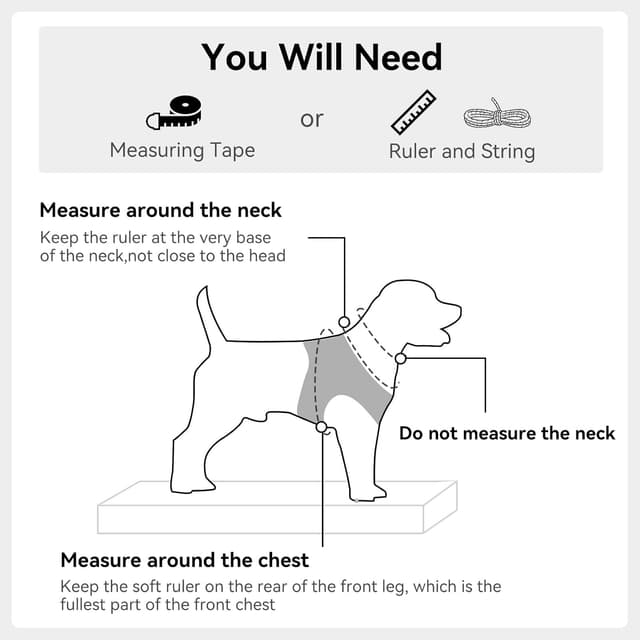 Detalle 2 de Joytale Hundegeschirr reflektierend, weich gepolstert mit Air-Mesh – Brustgeschirr für kleine bis mittelgroße Hunde (L), Schwarz