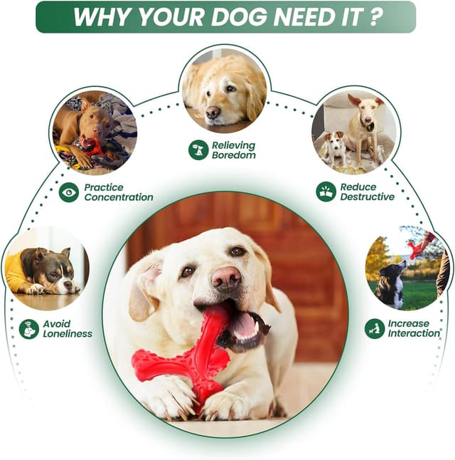 Detalle 2 de CVALIN Kauspielzeug für aggressive Kauer – unzerstörbares Naturkautschuk-Knochenspielzeug für große Rassen