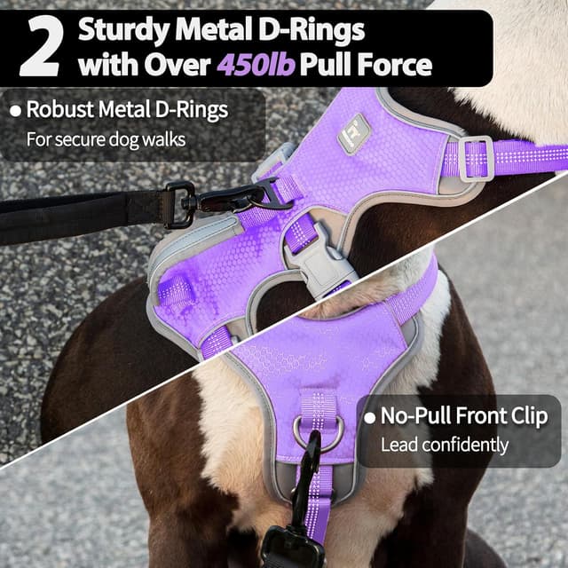 Detalle 1 de Huntboo No Escape Dog Harness Lavender M