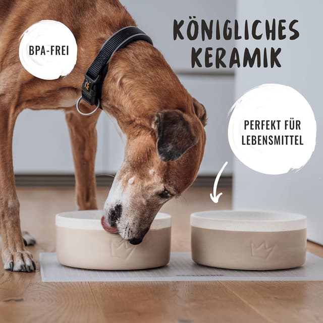 Detalle de Rudelkönig Hundenapf Keramik 900 ml 🍽