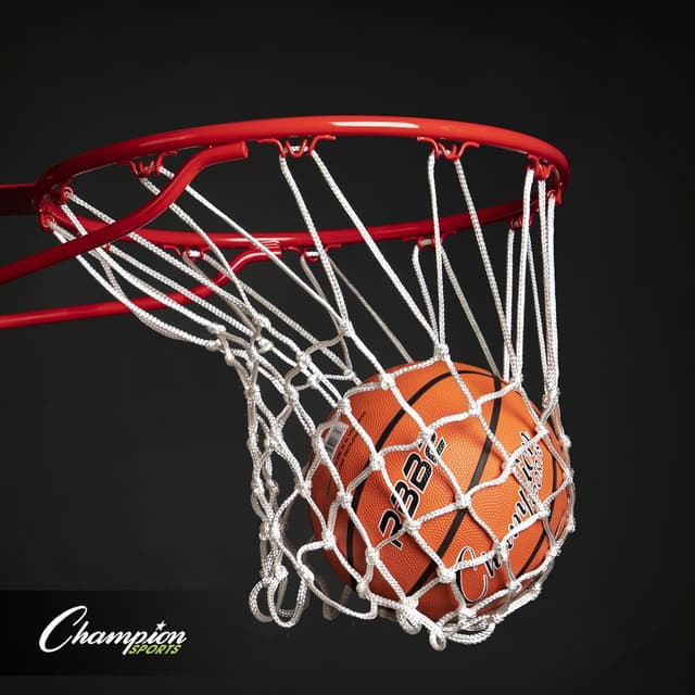Detalle 1 de Champion Sports Basketballs true bounce 2-ply