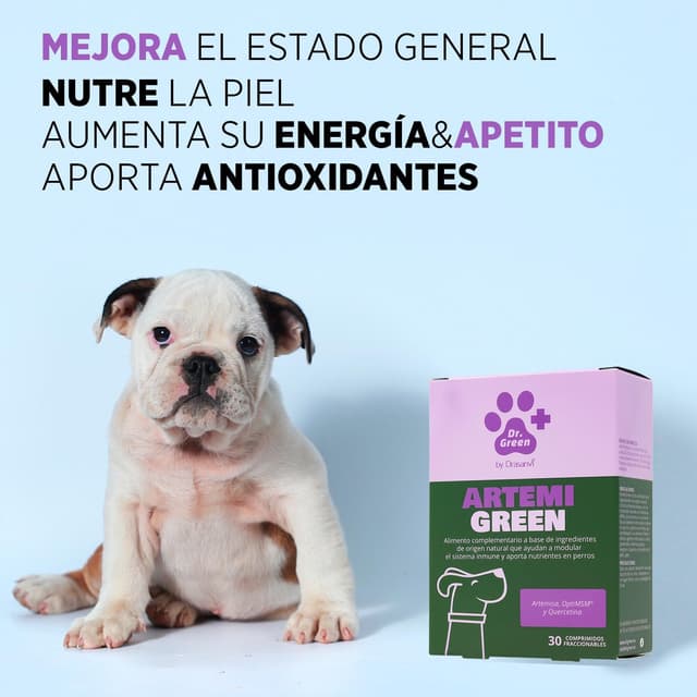 Thumbnail 5 de Drasanvi ARTEMIGREEN 30 comprimidos