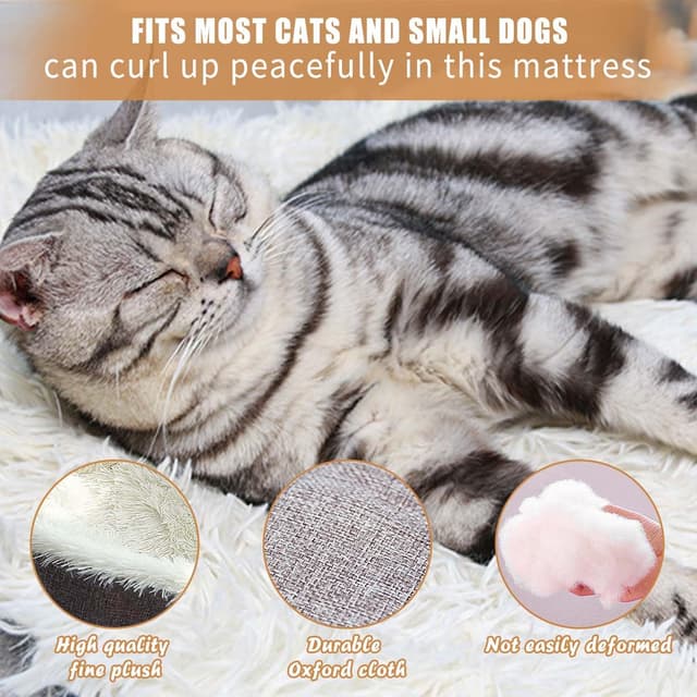 Thumbnail 1 de Jesdavan Cuccia Pelosa 60 x 50 cm per cani e gatti