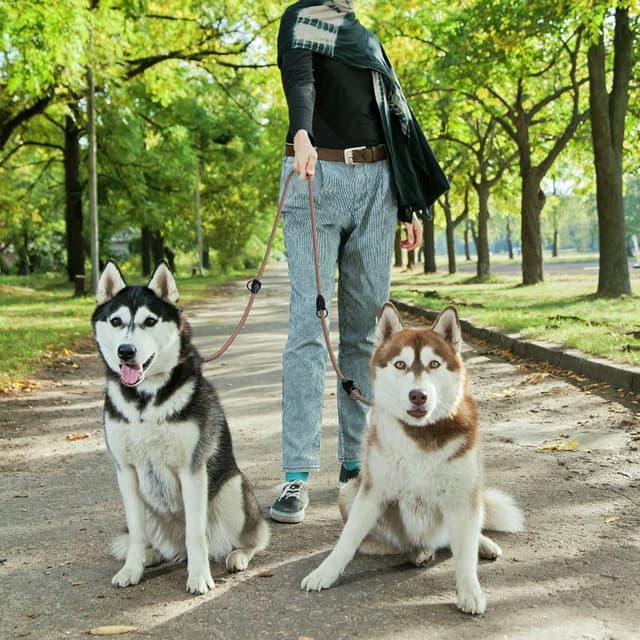 Thumbnail 6 de Wolfone Doppelendig, handfreie Seil-Hundeleine einstellbar (2,1 m) – für große, mittlere & kleine Hunde