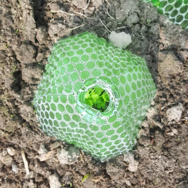 Detalle 2 de COM-FOUR 24 cappellini da sole per piante (altezza circa 23 cm) in plastica verde