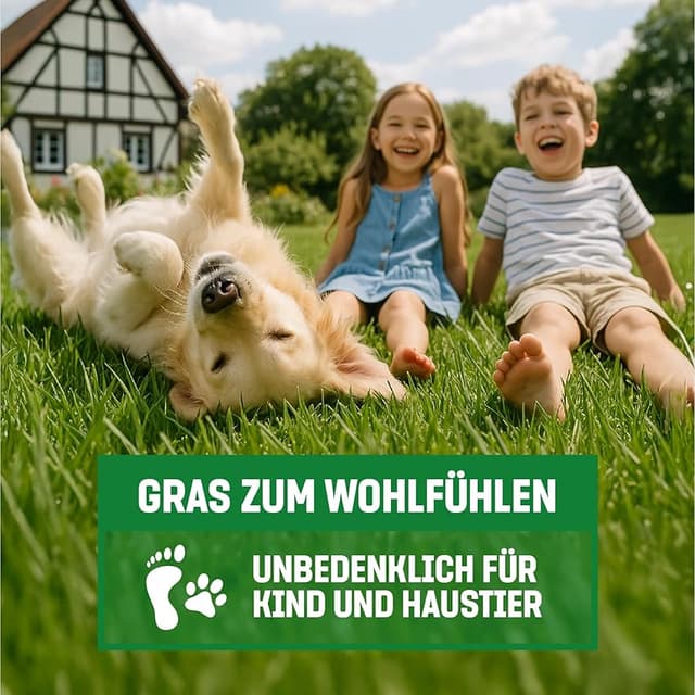 Thumbnail 6 de GardenGloss Semences de gazon germination rapide, 2,5 kg ⚙