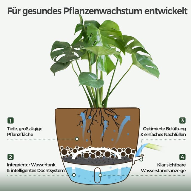 Detalle 2 de T4U T4U 2er Set selbstbewässernder Blumentopf 30 cm
