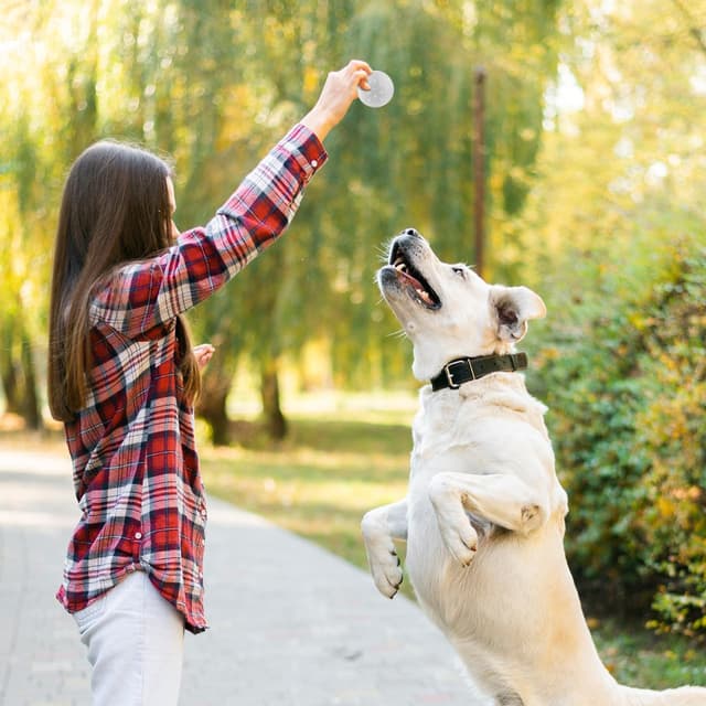 Thumbnail 3 de Baluue Dog Scent Training Case 2.68in