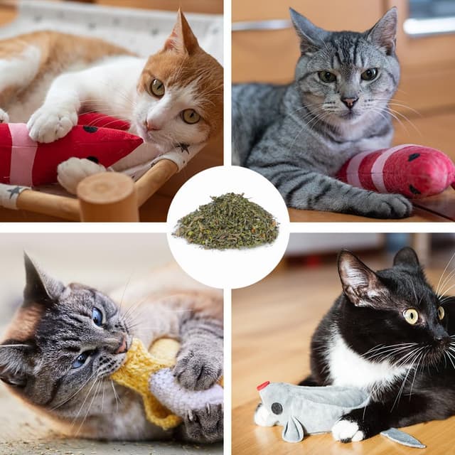 Thumbnail 5 de OSDUE Katzenminze 100 g mit SĂ€ckchen đ±