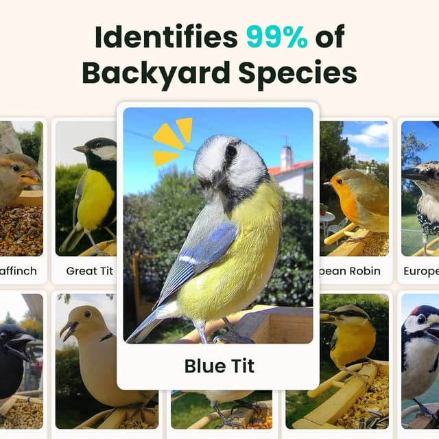 Thumbnail 6 de Birdfy Smart Wooden Bird Feeder Camera