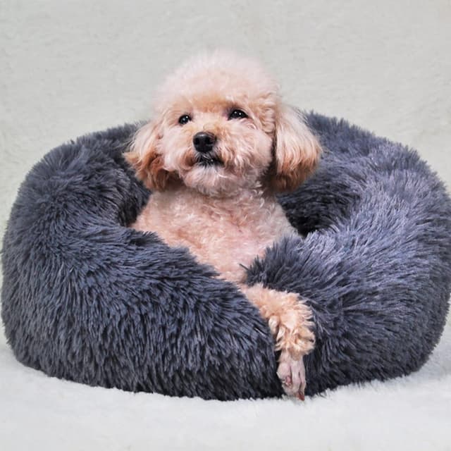 Detalle de UUEMB 50cm Calming Dog Cat Bed, Plush Donut Pets Beds for Small Dogs Cats, Soft Puppy Kitten Cuddler Round Bed Cushion, Washable Warm Dog Beds for Improved Sleeping (Dark Grey)
UUEMB 50cm Calming Dog Cat Bed, Plush Donut Pets…