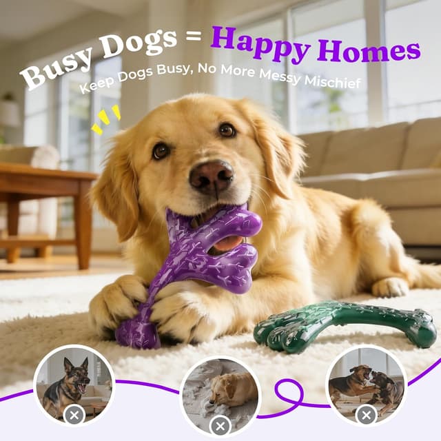 Thumbnail 3 de ChienBox Jouet Chien Indestructible 2 pièces