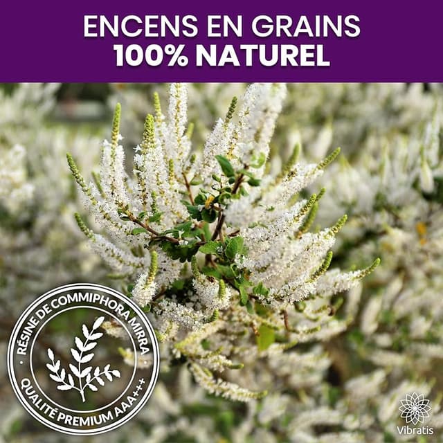 Thumbnail 5 de Coffret encens myrrhe 100g 🕯