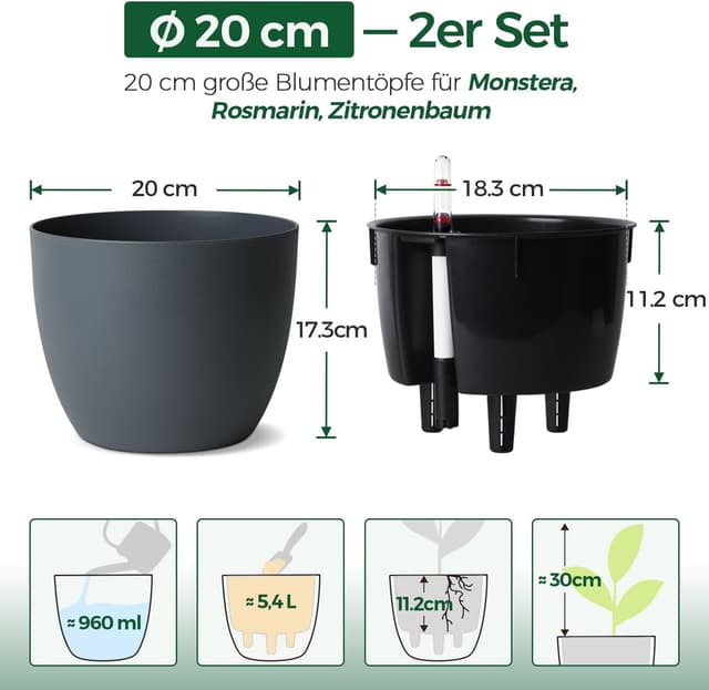 Detalle de T4U 2er Selbstbewässerungstopf 20 cm