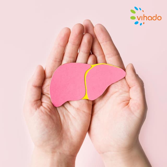 Thumbnail 6 de Leber Komplex PLUS Kapseln mit 120 Kapseln