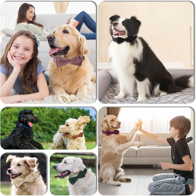 Detalle de Velvet Bow Dog Collar with Bowtie