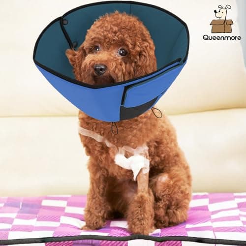 Thumbnail 6 de Queenmore Soft Dog Cone for Medium M