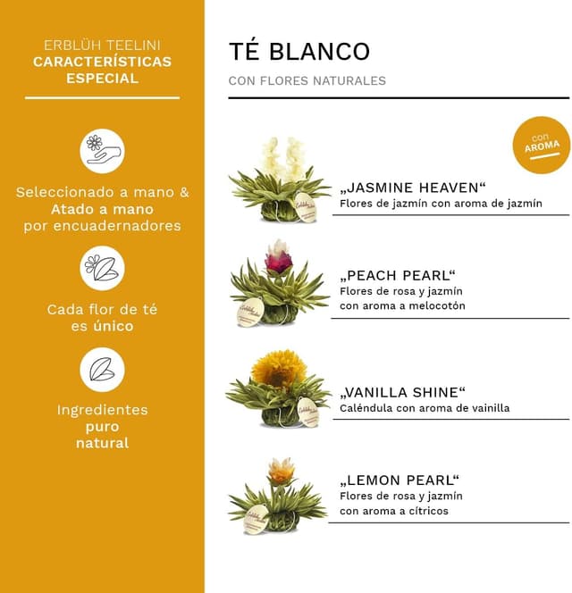 Detalle de Creano Teelini Flores de Té Blancas en 36 Bolas 🍵