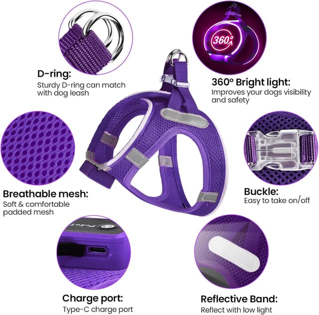 Detalle 2 de PcEoTllar Light Up Dog Harness with Rechargeable LED (Waterproof, Reflective) – Purple