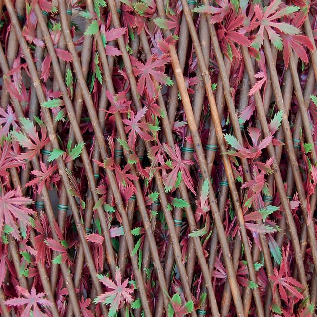 Detalle de TENAX Siepe Artificiale Divy 3D X-Tens con supporto estensibile in salice, 1x2 m Rosso/Verde