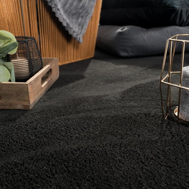 Detalle de Paco Home tapis de salon moelleux ultra doux à poils courts 120 cm rond noir (antidérapant, lavable)