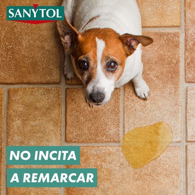 Thumbnail 6 de Sanytol Botella Desinfectante 4,8L