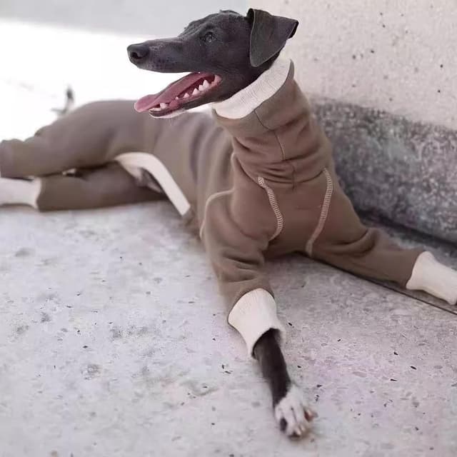 Detalle 2 de Greyhound Winter Warm Dog Onesie 2XL Brown