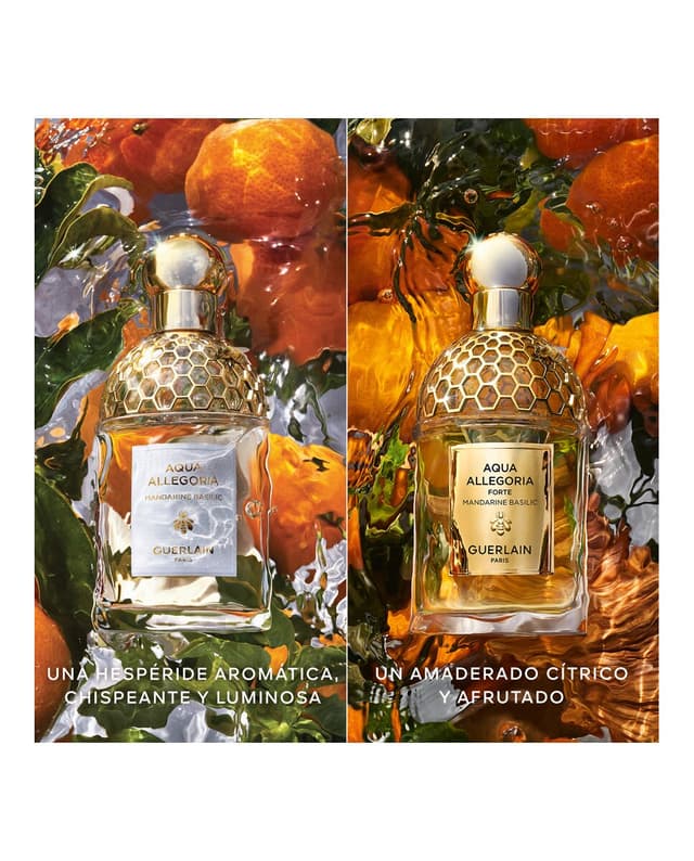 Thumbnail 4 de Guerlain Eau de Parfum Aqua Allegoria Mandarine Basilic Forte recargable 125 ml