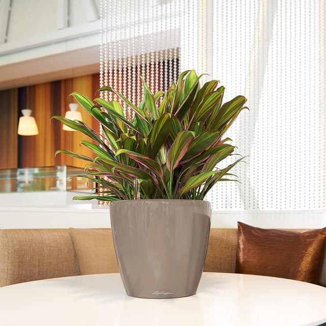 Thumbnail 6 de Lechuza Classico Premium LS 28 Blanco brillante 28 cm