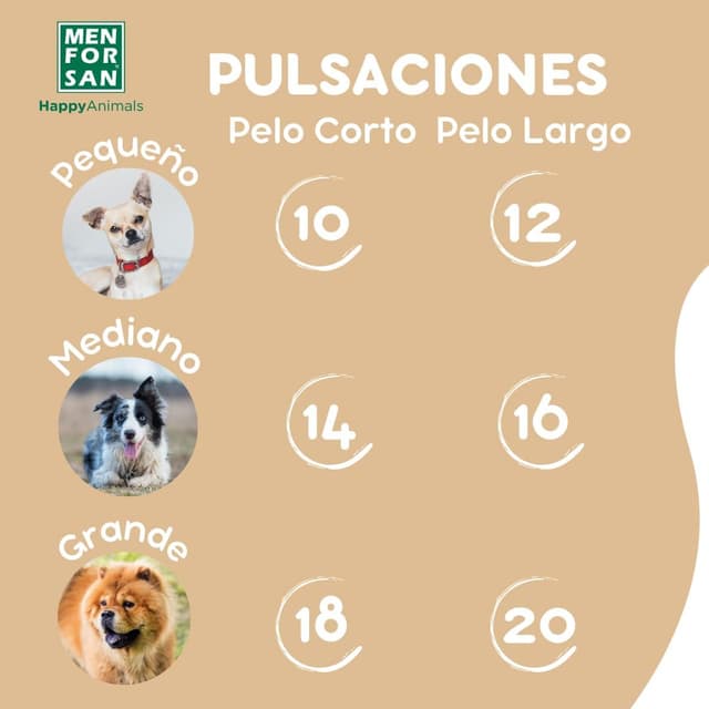 Thumbnail 6 de MENFORSAN champú marrón 5L intensificador de color