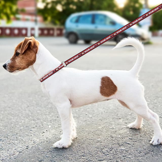 Detalle de NBA Miami Heat Heavy-Duty Dog Leash (Size Small) with Metal Swivel Buckle