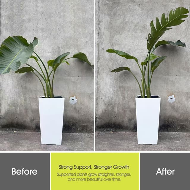 Detalle de RIFNY Plant Supports 30cm for indoor use