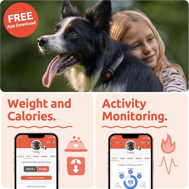 Detalle de PitPat dog activity monitor, no GPS