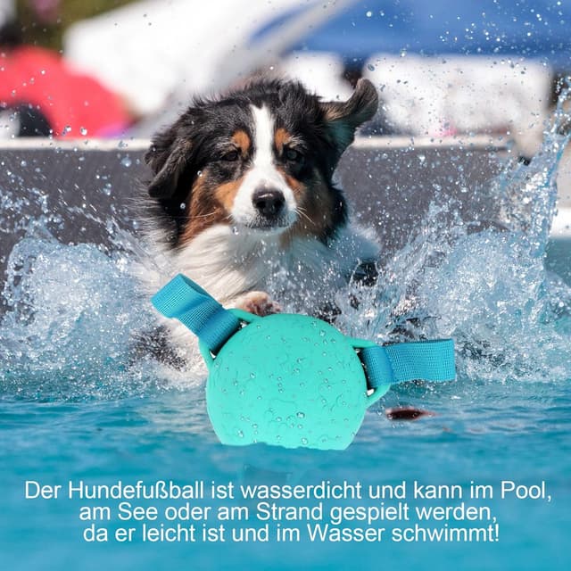 Thumbnail 6 de LOTUSWILD Balle pour chien 9,7 cm Bleu