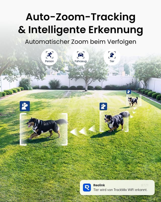 Thumbnail 3 de Reolink 4K 8MP Wi‑Fi 6 PTZ Überwachungskamera 6X Zoom