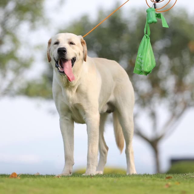 Thumbnail 4 de Poo Bags Dogs with Tie Handles 270-count