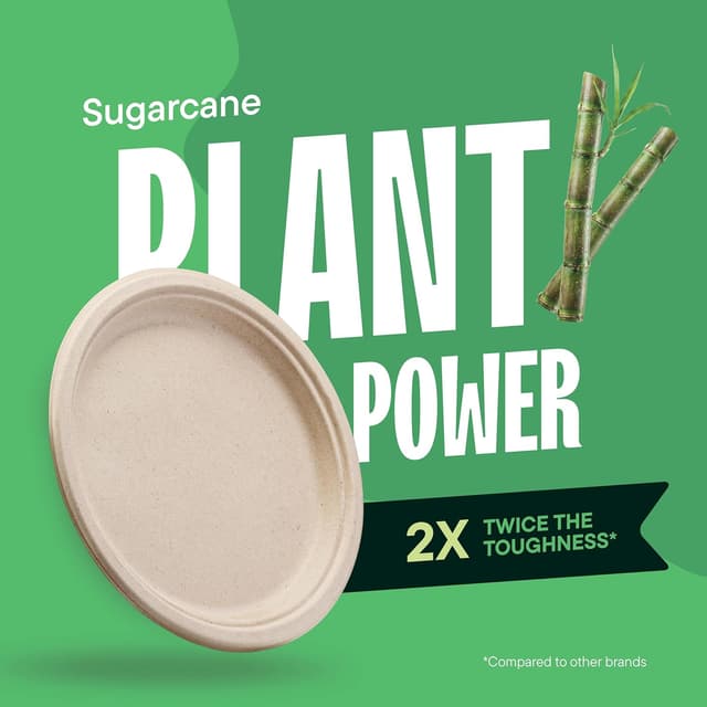 Thumbnail 4 de Compostable Paper Plates 10 Inch ๐ฝ