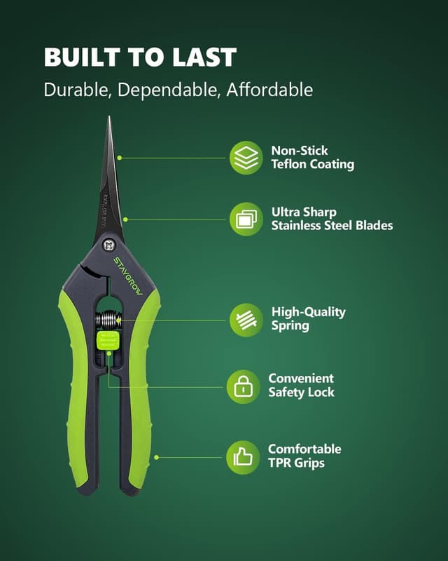 Detalle 2 de STAYGROW Präzisionsscheren 2er Set 16,5 cm
