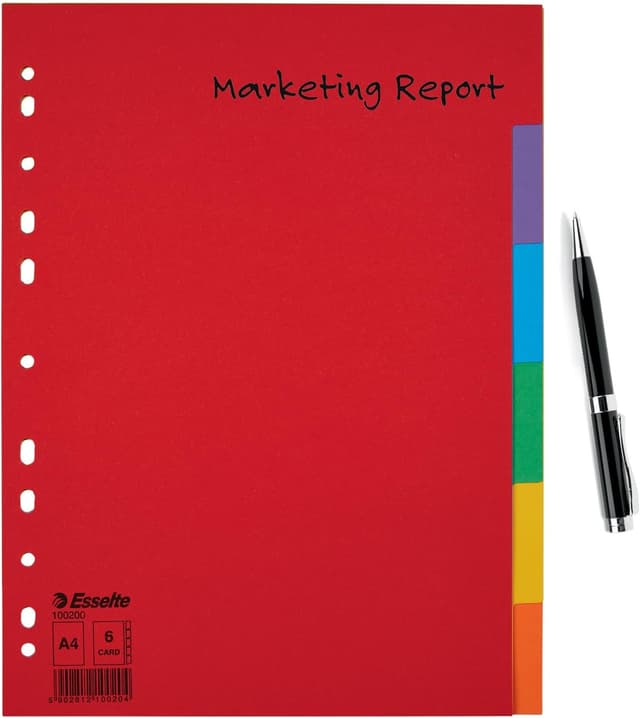 Detalle 2 de Esselte Register für A4 20er Pack