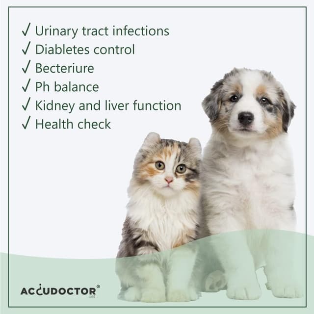 Detalle 2 de AccuDoctor 100 Urin-Teststreifen Haustiere 🐾