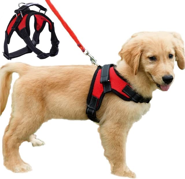 Detalle de Dog Harness Mesh Breathable No Pull