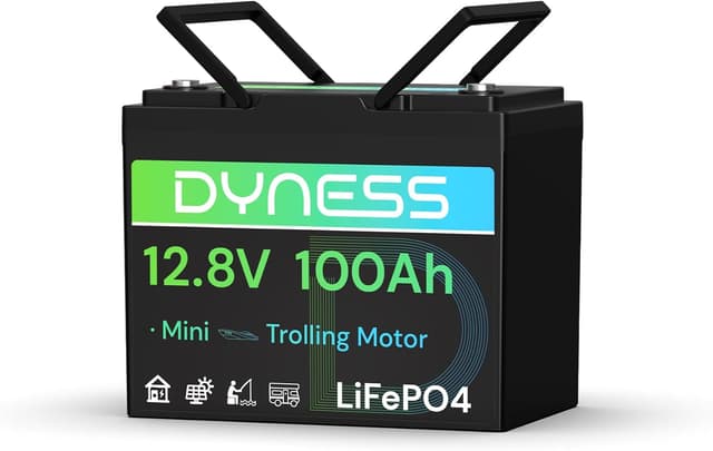 Imagen de Dyness Batería de Litio 12V 100Ah LiFePO4 en OfertitasTOP