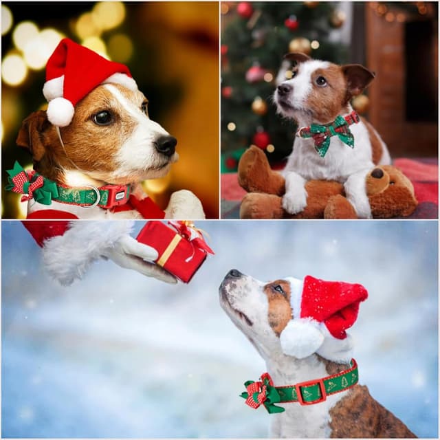Thumbnail 5 de Petiry Festive Christmas Dog Collar